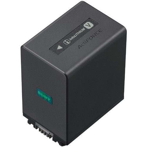 Sony Baterai NP-FV100A